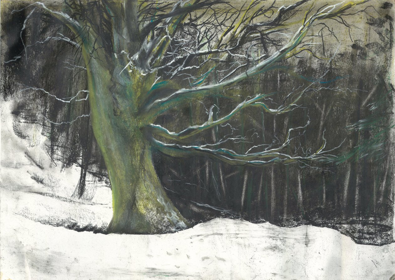 Tree in winter snow at Osmotherley woods 作者 文森特·亚历山大·布斯