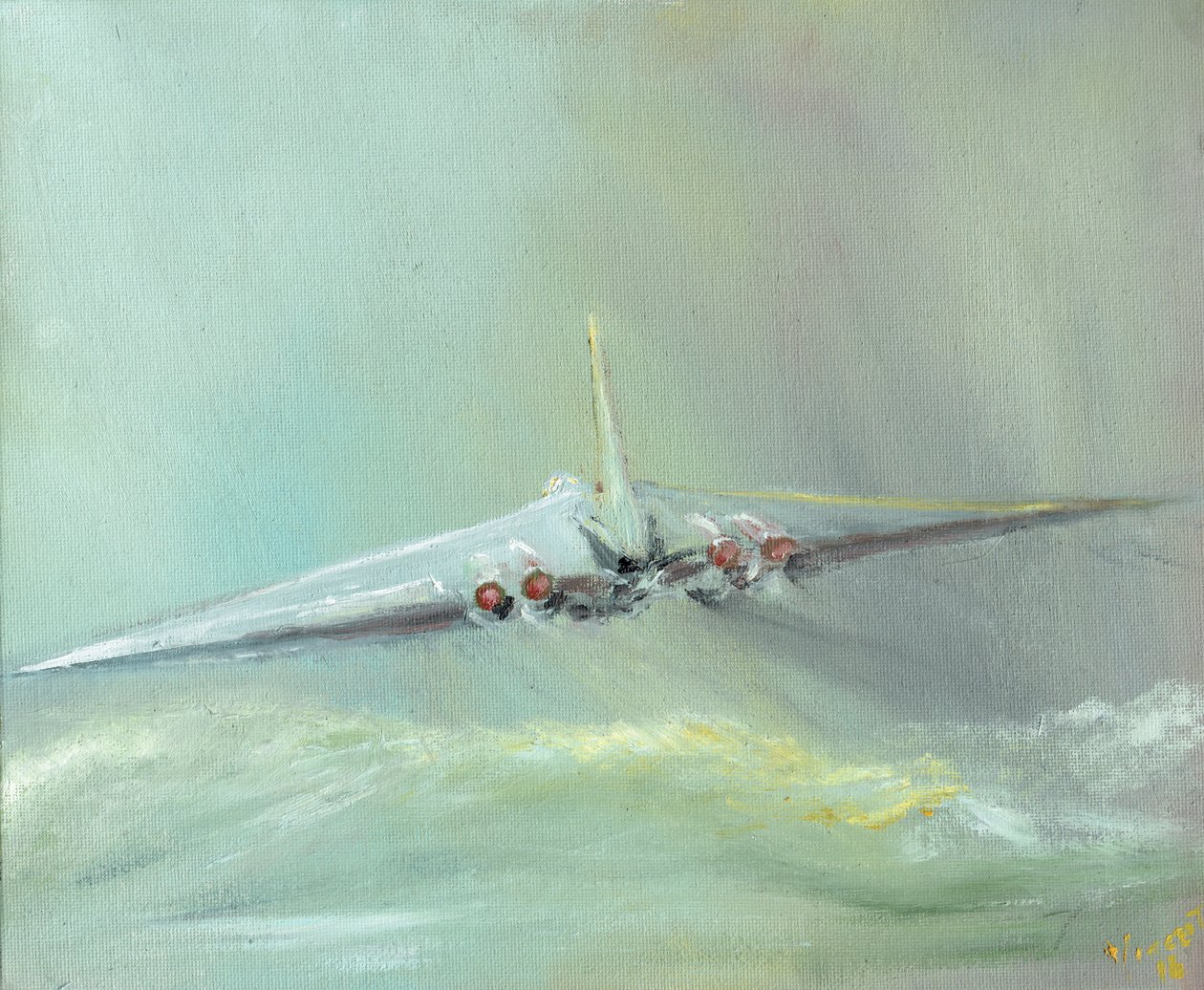 Vulcan B1 sortie，2016，（油画布板） 作者 文森特·亚历山大·布斯