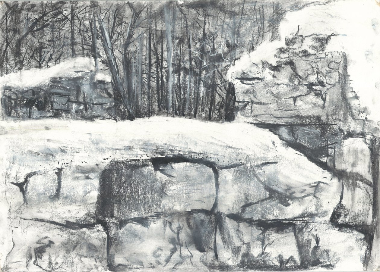 Wall in the Woods Osmotherley 作者 文森特·亚历山大·布斯