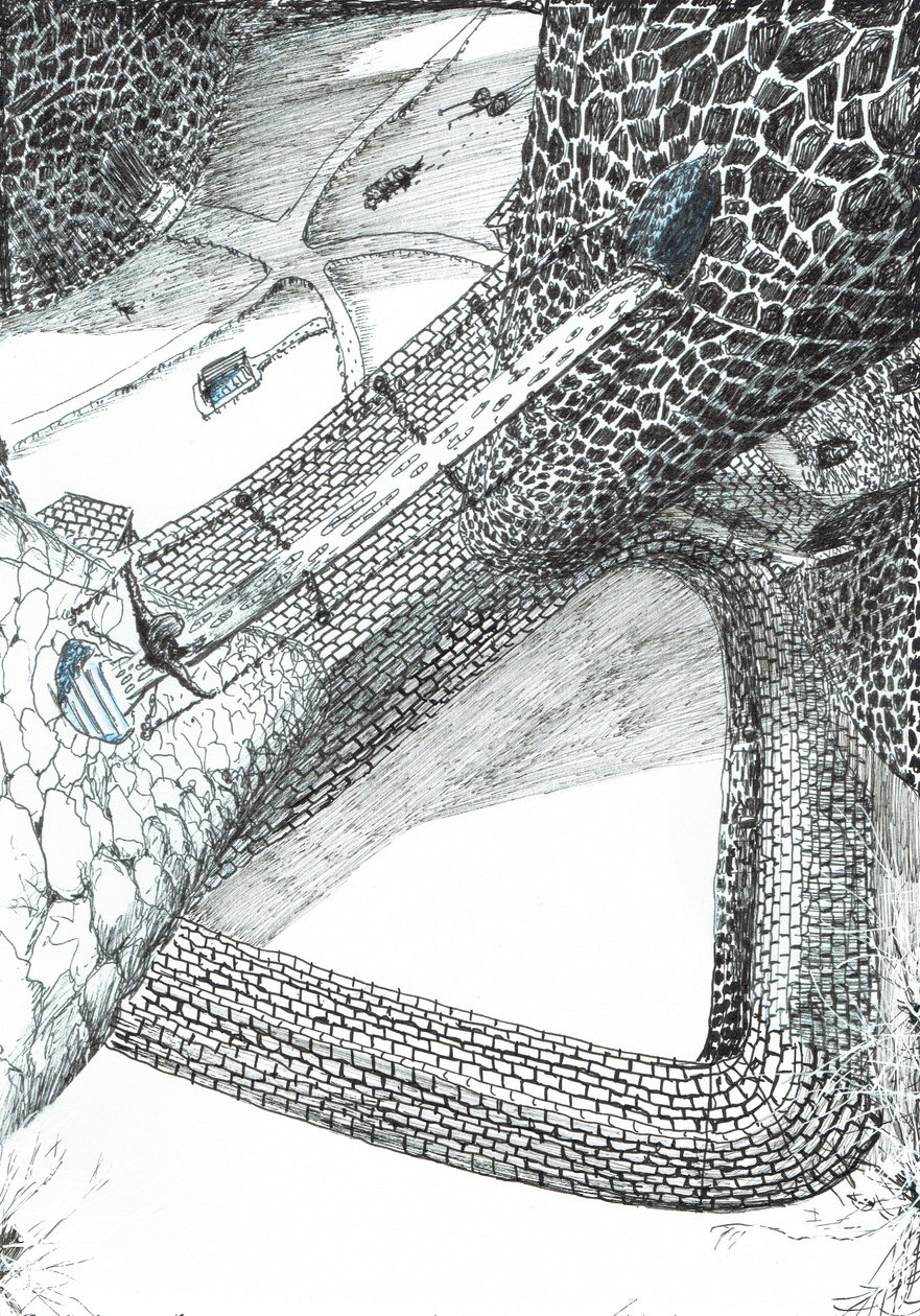 第31页，Findhorn森林中的城堡，2006年，（纸上墨水） 作者 文森特·亚历山大·布斯
