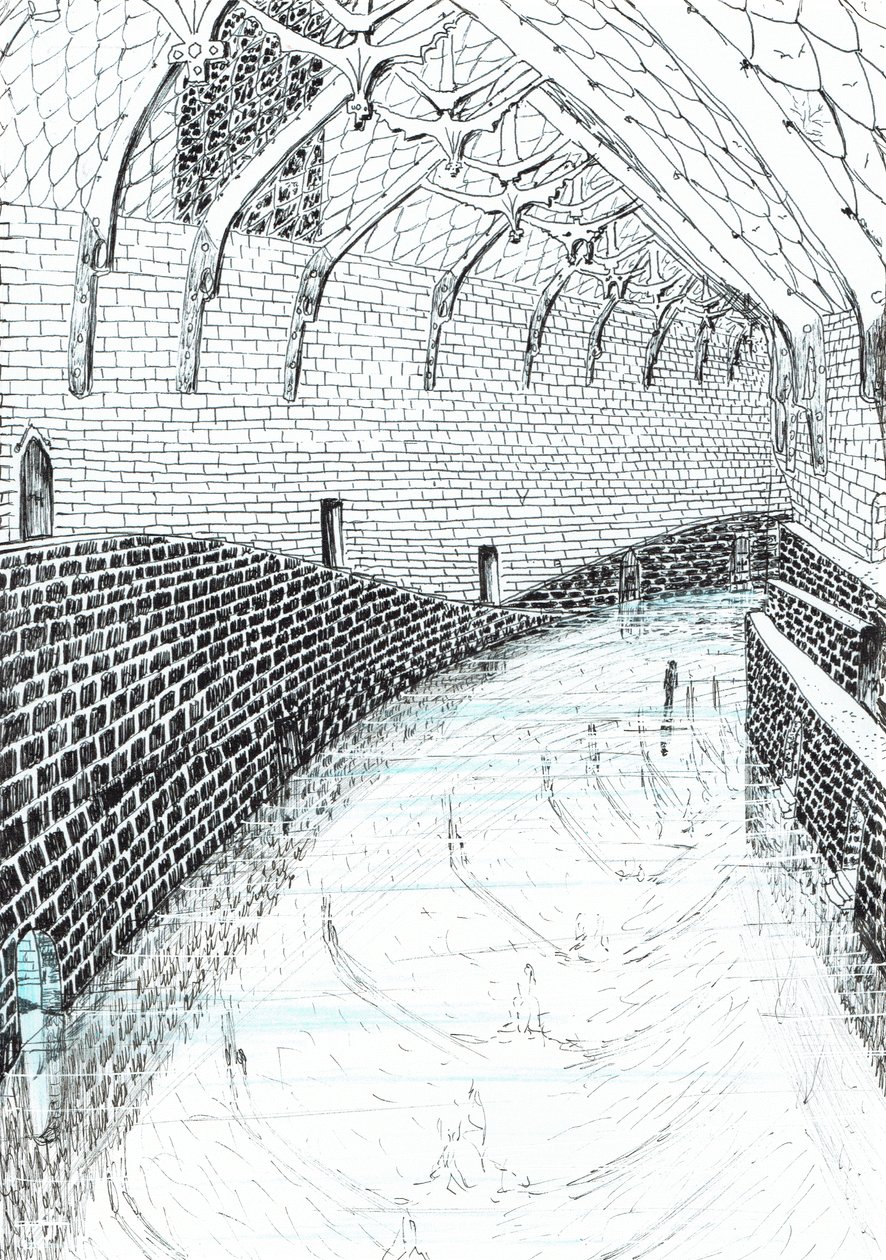 第41页，Findhorn森林中的城堡，2006年，（纸上墨水） 作者 文森特·亚历山大·布斯