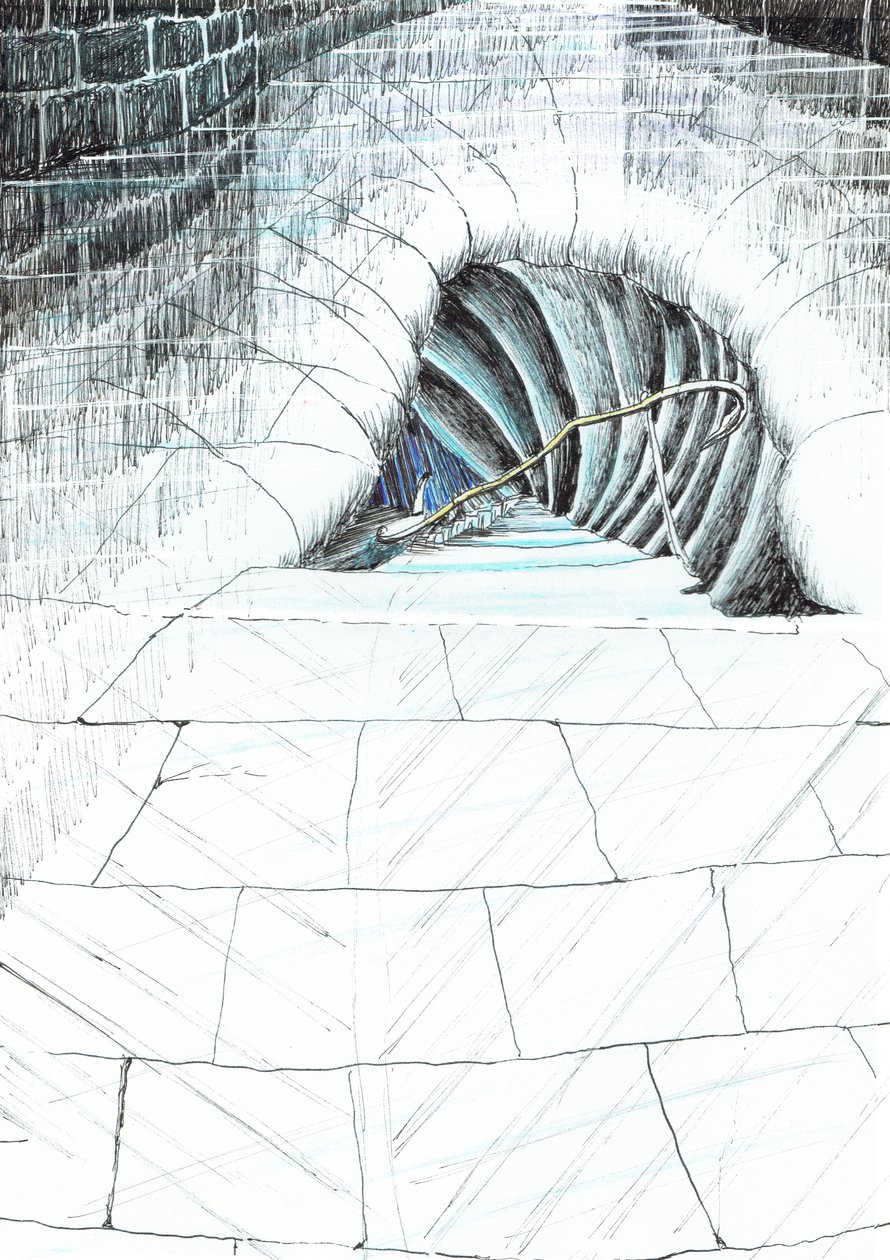第45页，Findhorn森林中的城堡，2006年，（纸上墨水） 作者 文森特·亚历山大·布斯