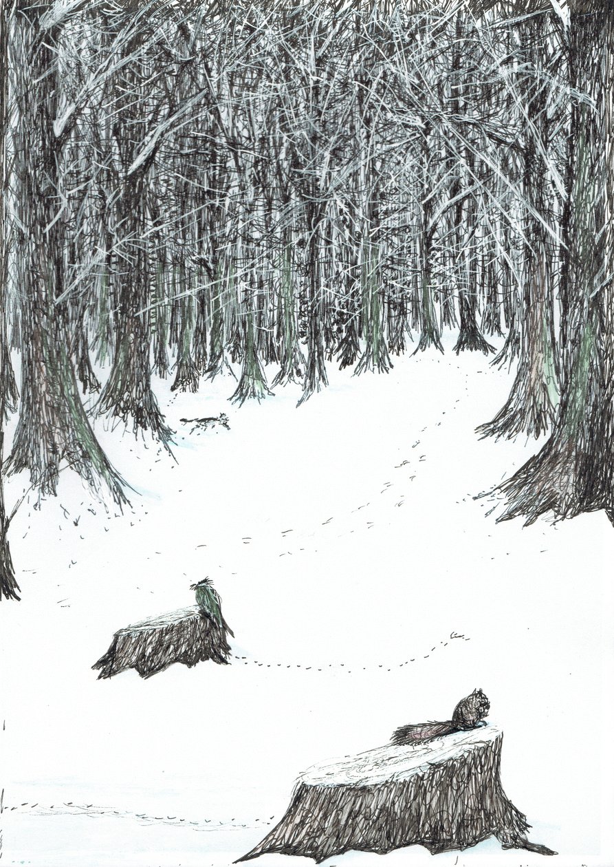 第5页，Findhorn森林中的城堡，2006年，（纸上墨水） 作者 文森特·亚历山大·布斯