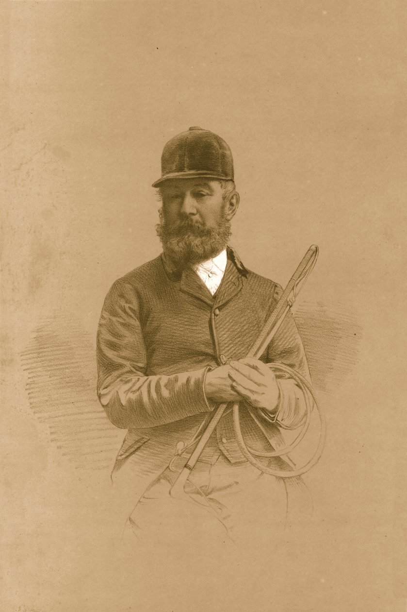菲茨哈丁格勋爵，1879年。 作者 文森特·布鲁克斯·戴和儿子
