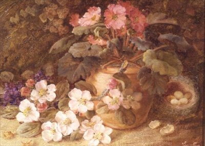 苹果花、报春花和燕窝的静物画 作者 文森特·克莱尔
