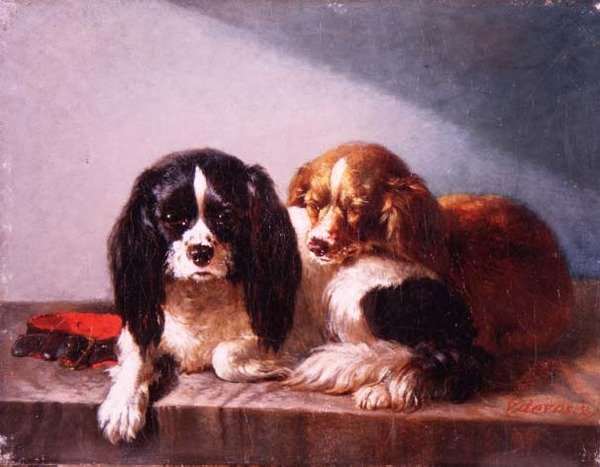 一对骑兵王查理斯宾格犬在悬崖边上。 作者 文森特·德沃斯