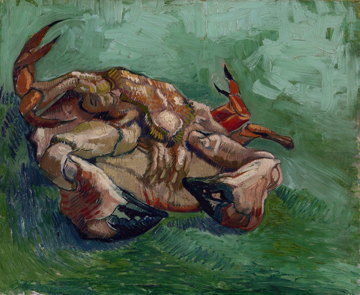 螃蟹在背上 par Gogh, Vincent, van (1853-1890).布面油画，尺寸：38x46,8 作者 文森特·梵高