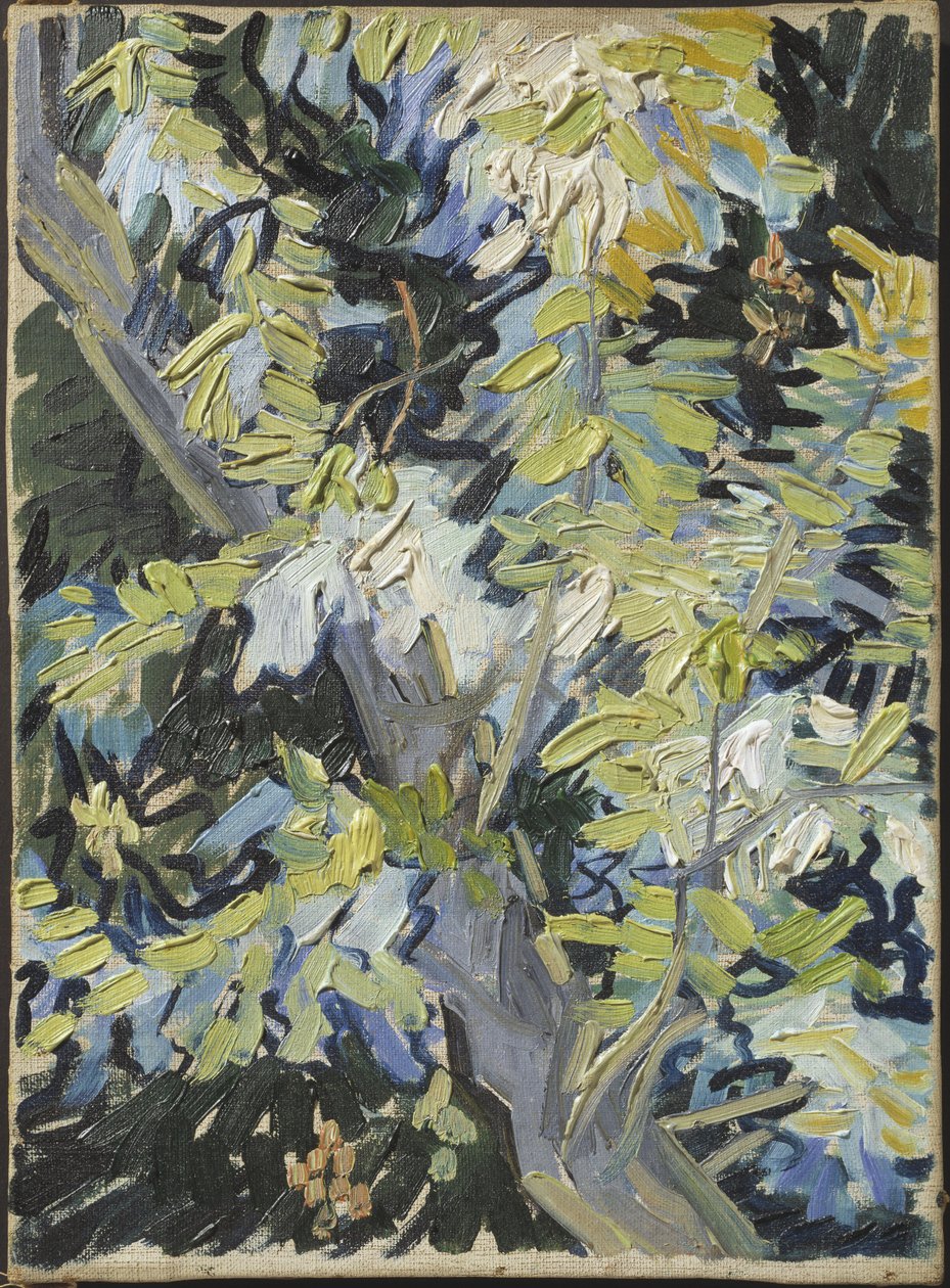 Acacia en fleur - Acacia Flowering，梵高、文森特、凡 (1853-1890)。 布面油画。 尺寸：33x24 厘米。 斯德哥尔摩国家博物馆 作者 文森特·梵高