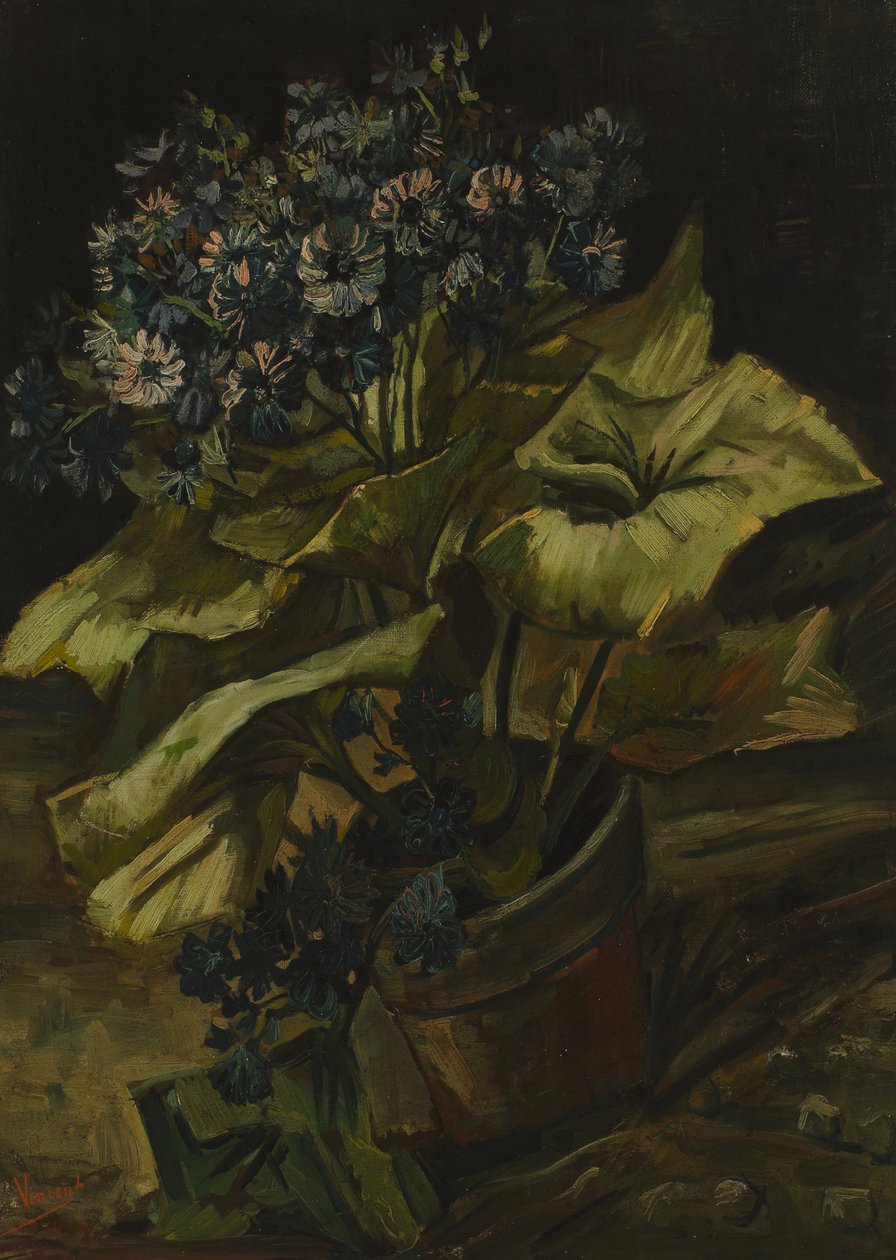 Cineraria 作者 文森特·梵高