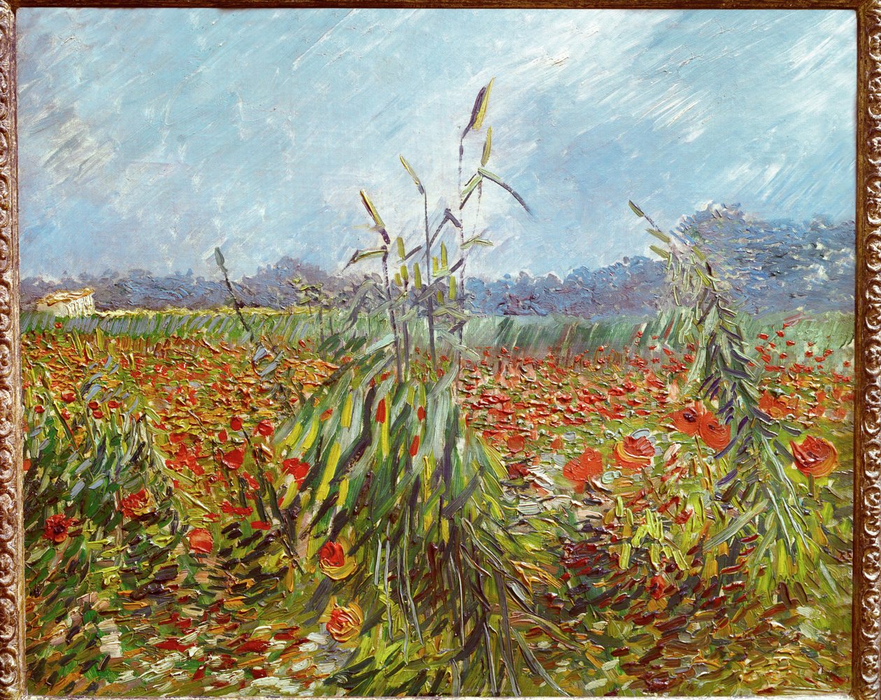 玉米田和罂粟花（布面油画） 作者 文森特·梵高