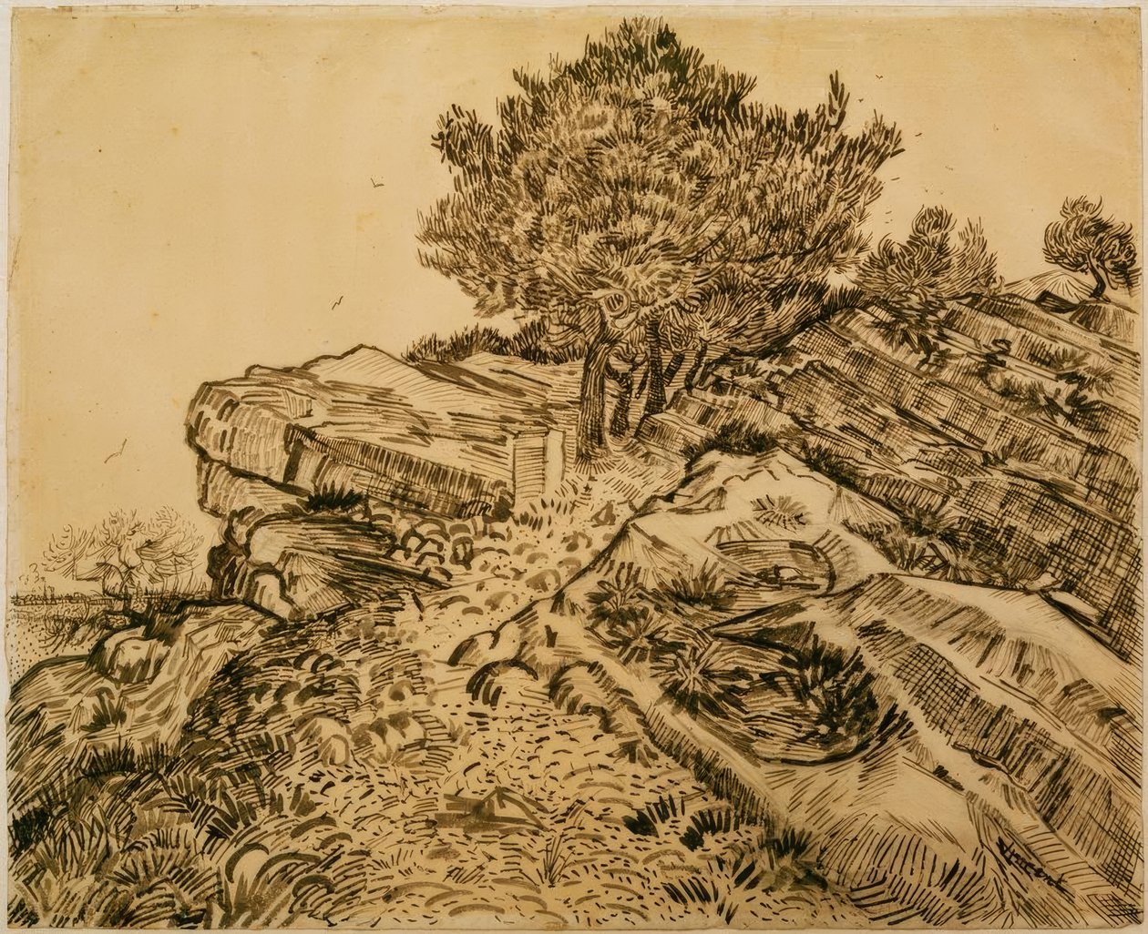 Montmajour的岩石与松树 作者 文森特·梵高