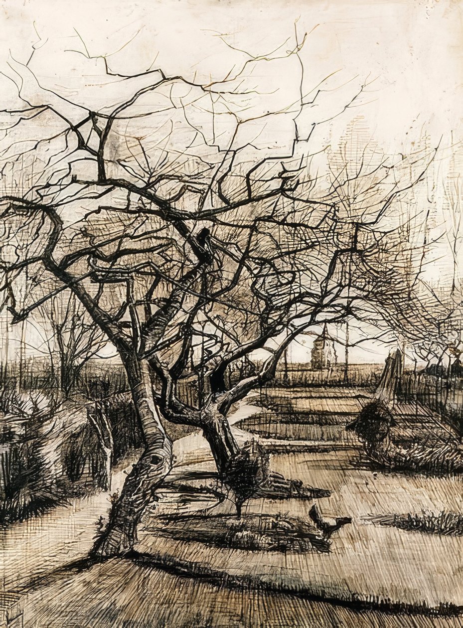 Nuenen的教区花园。 1884年 作者 文森特·梵高