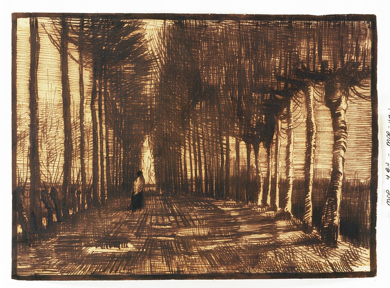 图在路上，1884年 作者 文森特·梵高