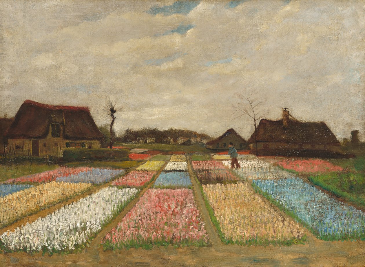 荷兰的花坛，约1883年。 作者 文森特·梵高