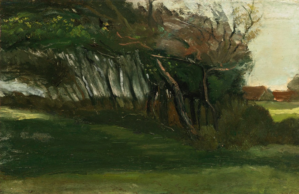 风景如画，树木成风，c.1883-84（布面油画） 作者 文森特·梵高