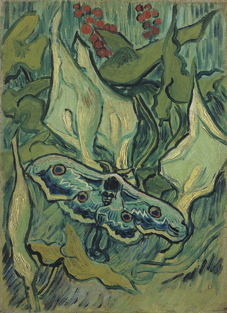 Le grand paon vert (sphinx tete de mort) - 文森特-梵高（1853-1890 年）的油画，纸上水彩（33.5x24.5 厘米） 作者 文森特·梵高