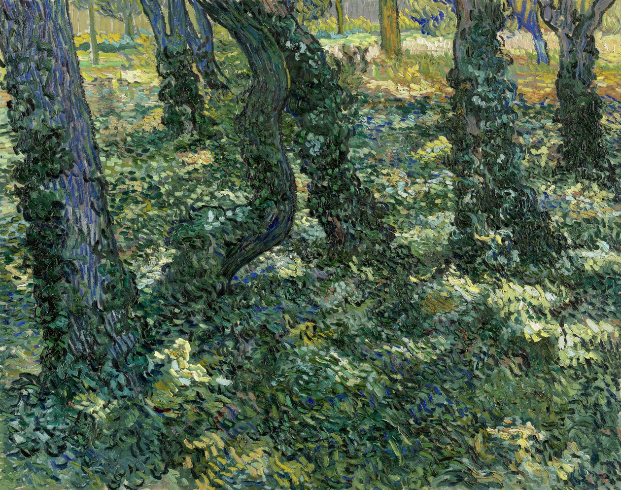 "Paysage de sous-bois" (Undergrowth) 文森特-梵高（1853-1890）的画作 1889 Dim 73x92.5 cm 梵高博物馆，阿姆斯特丹 作者 文森特·梵高