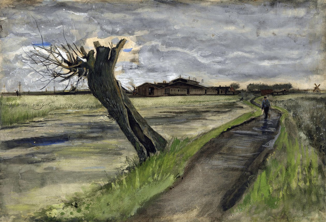 Pollard Willow (saule tetard) par Gogh, Vincent, van (1853-1890)。 铅笔，水彩，水粉，纸本，尺寸：38x55,8 作者 文森特·梵高