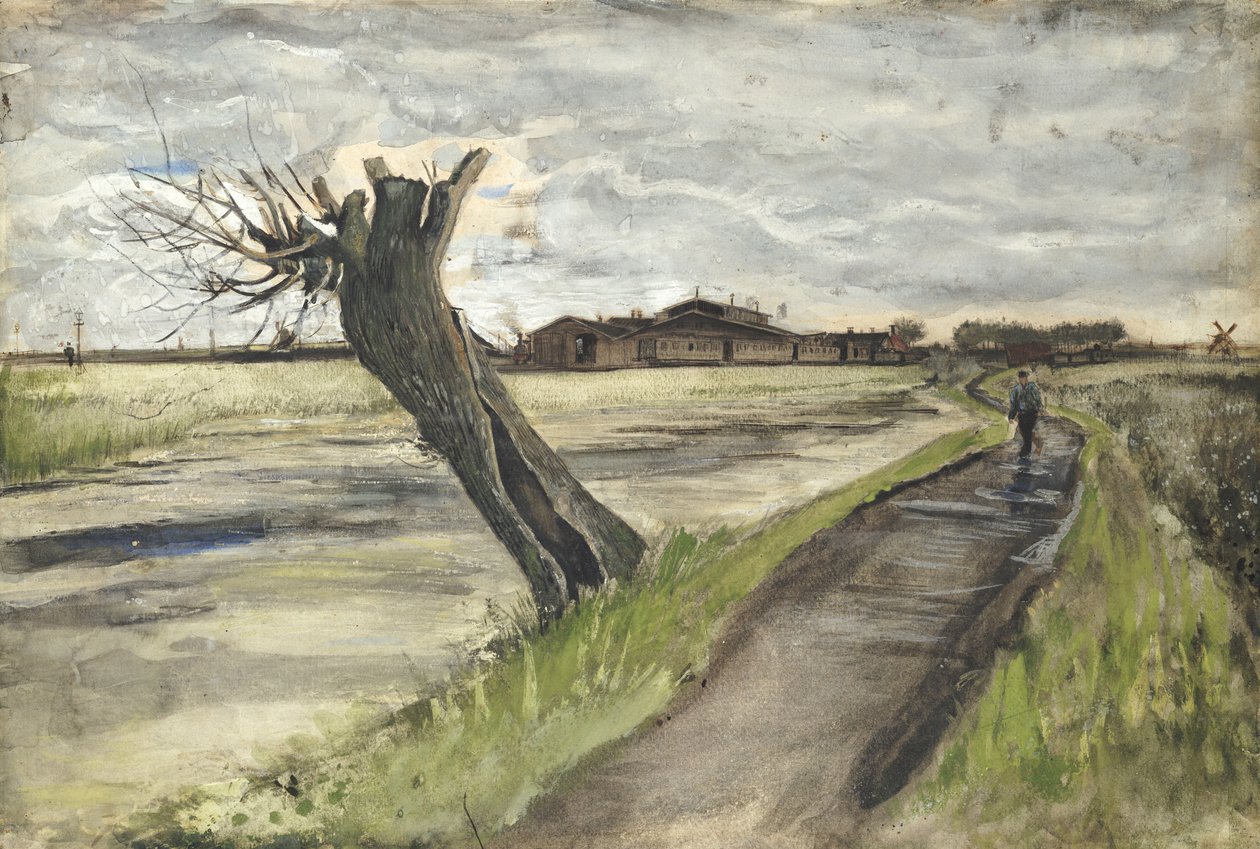 Pollard Willow，1882年 作者 文森特·梵高