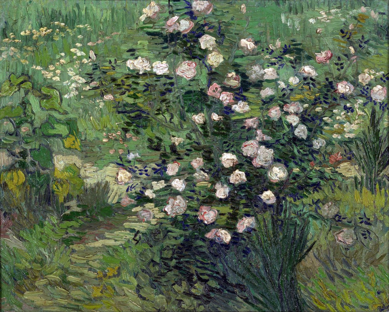 "玫瑰 "文森特-梵高（Vincent van Gogh，1853-1890 年）1889 年 日本东京国立西方艺术博物馆 作者 文森特·梵高
