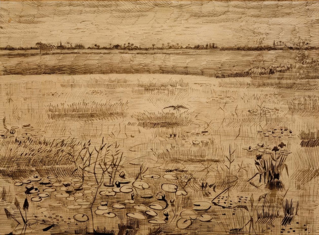 沼泽与睡莲 作者 文森特·梵高