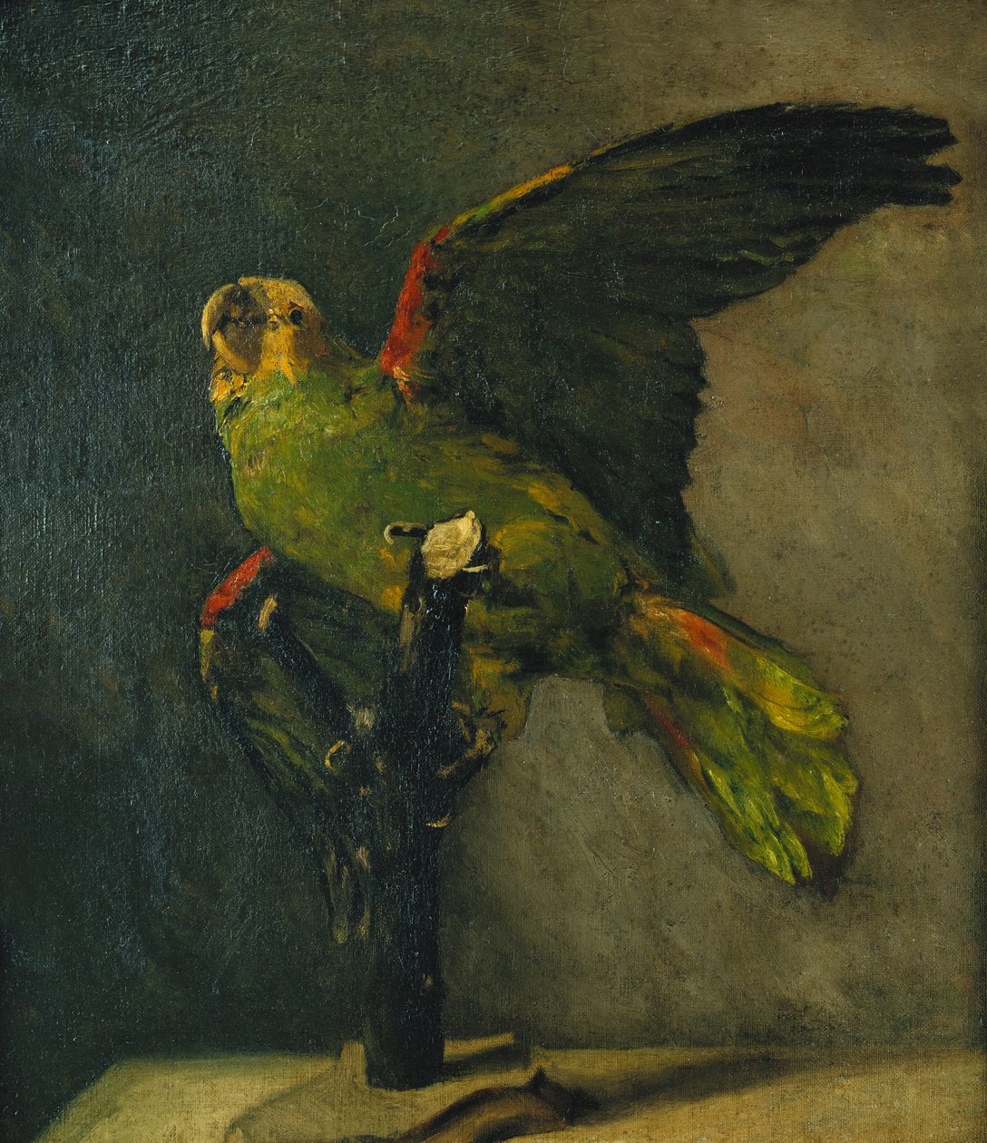 绿鹦鹉；绿鹦鹉，1885年 作者 文森特·梵高