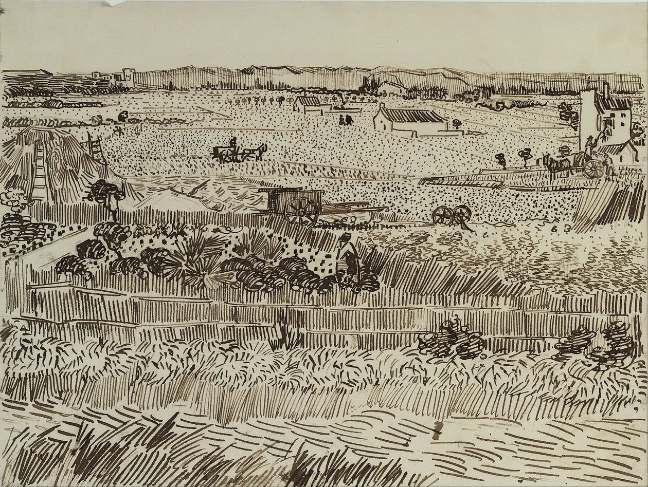 普罗旺斯埃米尔·伯纳德收获，1888年 作者 文森特·梵高