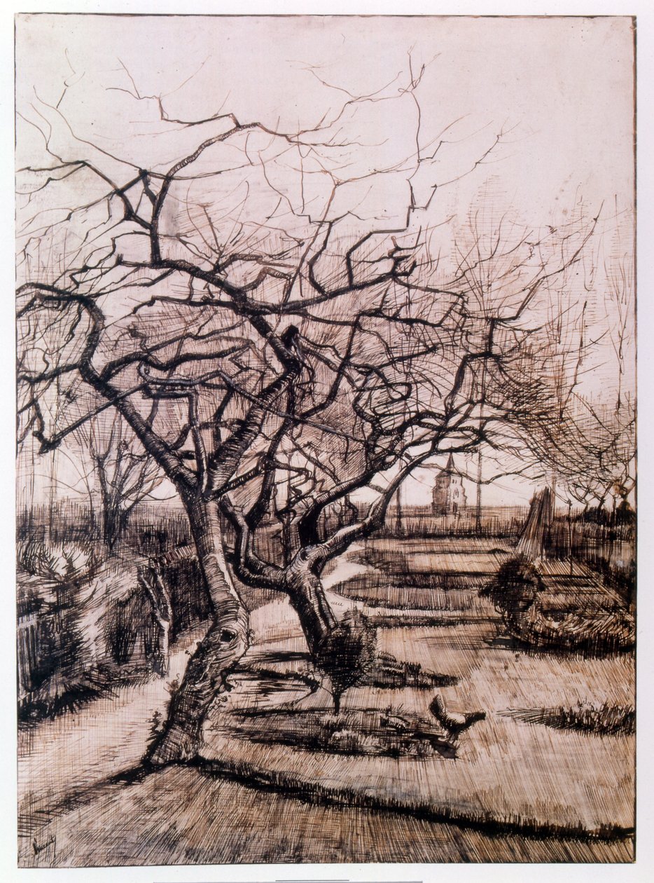 The Parsonage Garden at Nuenen in Winter (1884) 作者 文森特·梵高