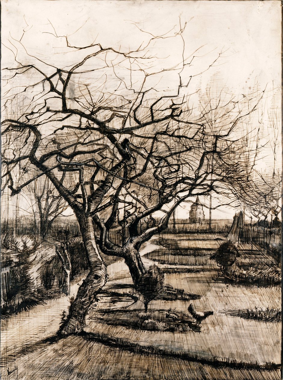 冬天 Nuenen 的牧师花园 - Oeuvre de Vincent, van Gogh (1853-1890) - 1884 - 纸上的钢笔、毛笔、墨水 - 51,5x38 - Szepmuveszeti Muzeum，布达佩斯 作者 文森特·梵高