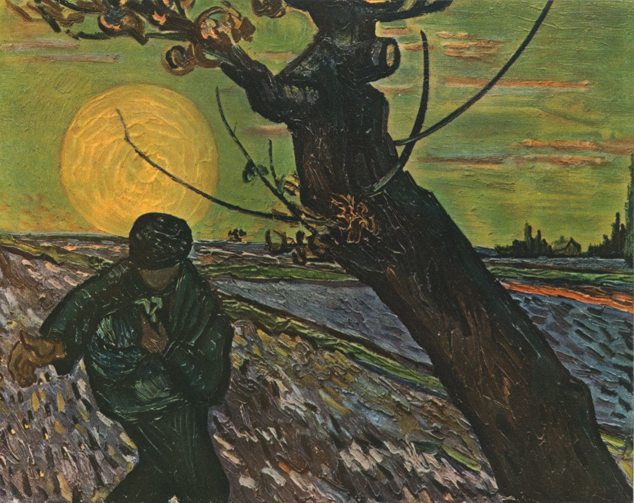 1888年10月，1947年播种。 作者 文森特·梵高