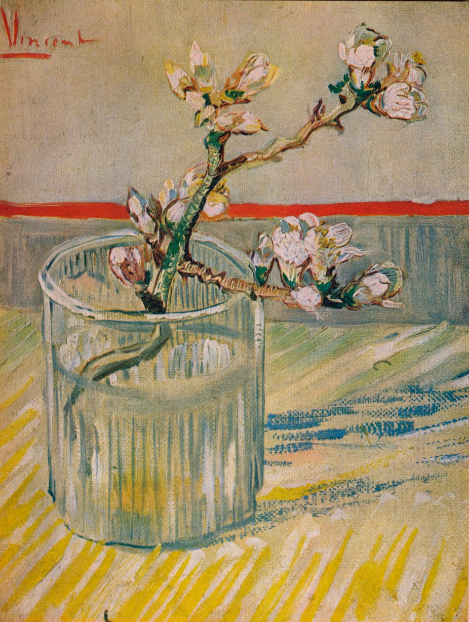 开花的茎DAmandier，1888年 作者 文森特·梵高