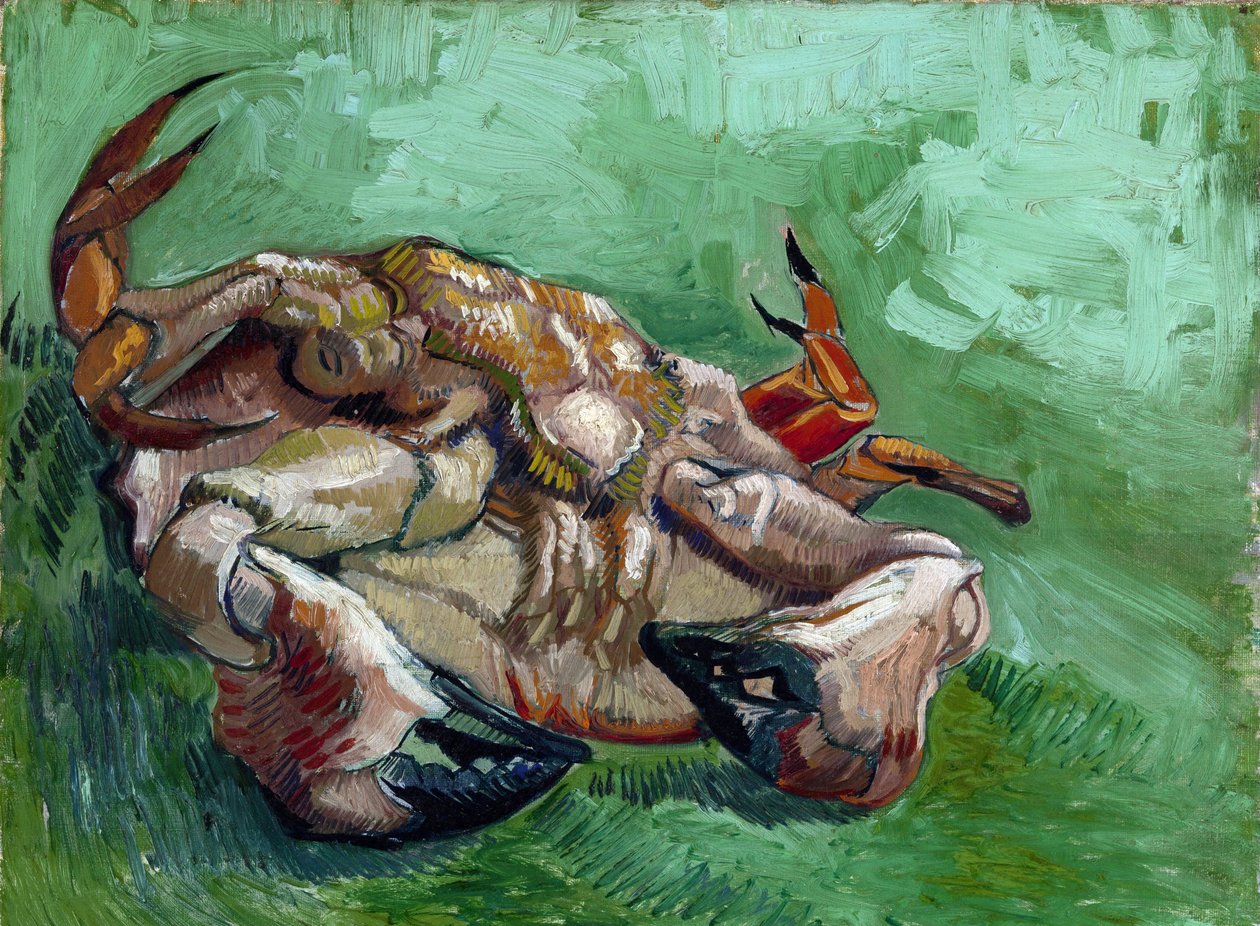 "螃蟹仰卧图 文森特-梵高（1853-1890）1889 Dim 38x46.5 cm 梵高博物馆，阿姆斯特丹 作者 文森特·梵高