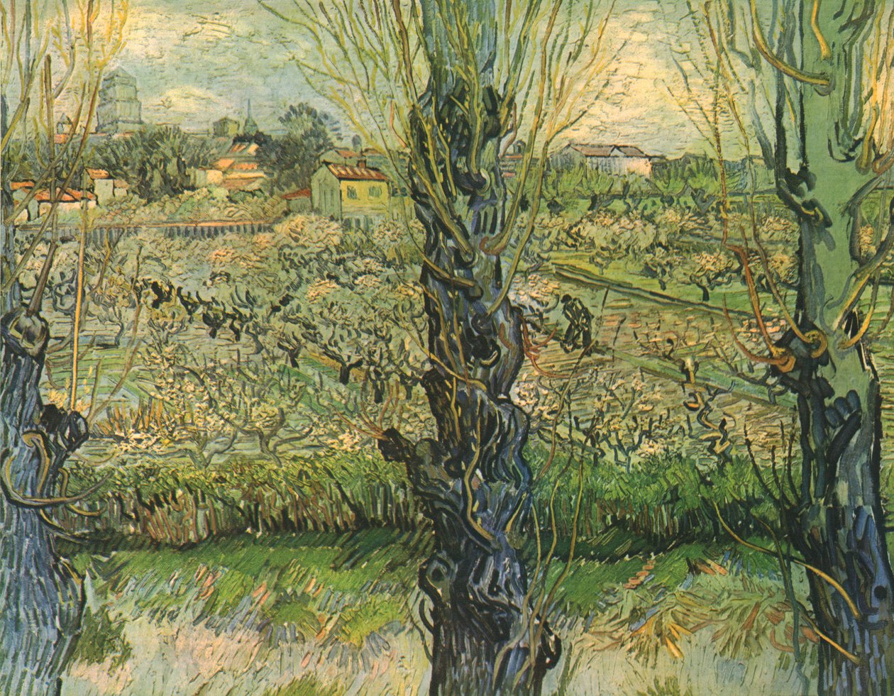 阿尔勒景色，1889年，1947年。 作者 文森特·梵高