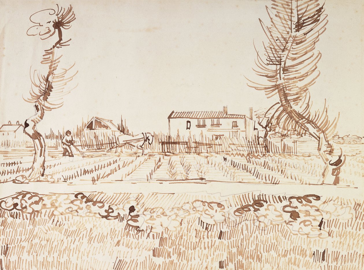 在阿尔勒工作；耕农在阿尔勒，1888年 作者 文森特·梵高