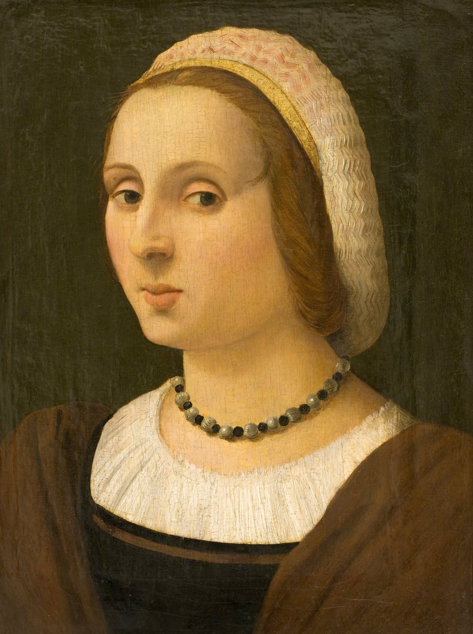 一位女士的画像 作者 温琴佐·塔玛尼（Vincenzo Tamagni）