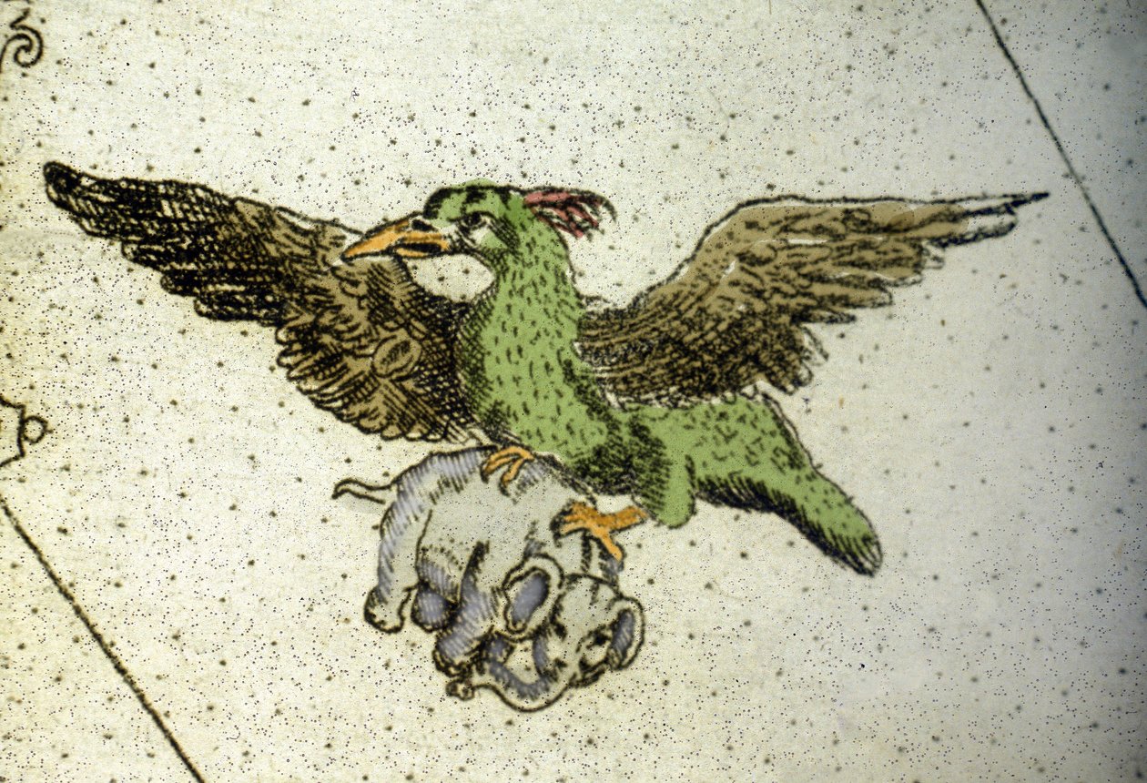 巨鸟Rok在它的温室之间扛着一头大象给它的孩子吃，Vincenzo coronelli（1650-1718）的世界地图的细节。17世纪 作者 文森佐·玛丽亚·科罗内利