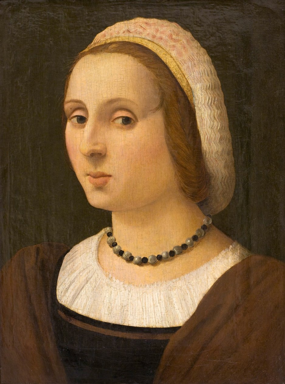 一位女士的画像 作者 温琴佐·塔玛尼（Vincenzo Tamagni）