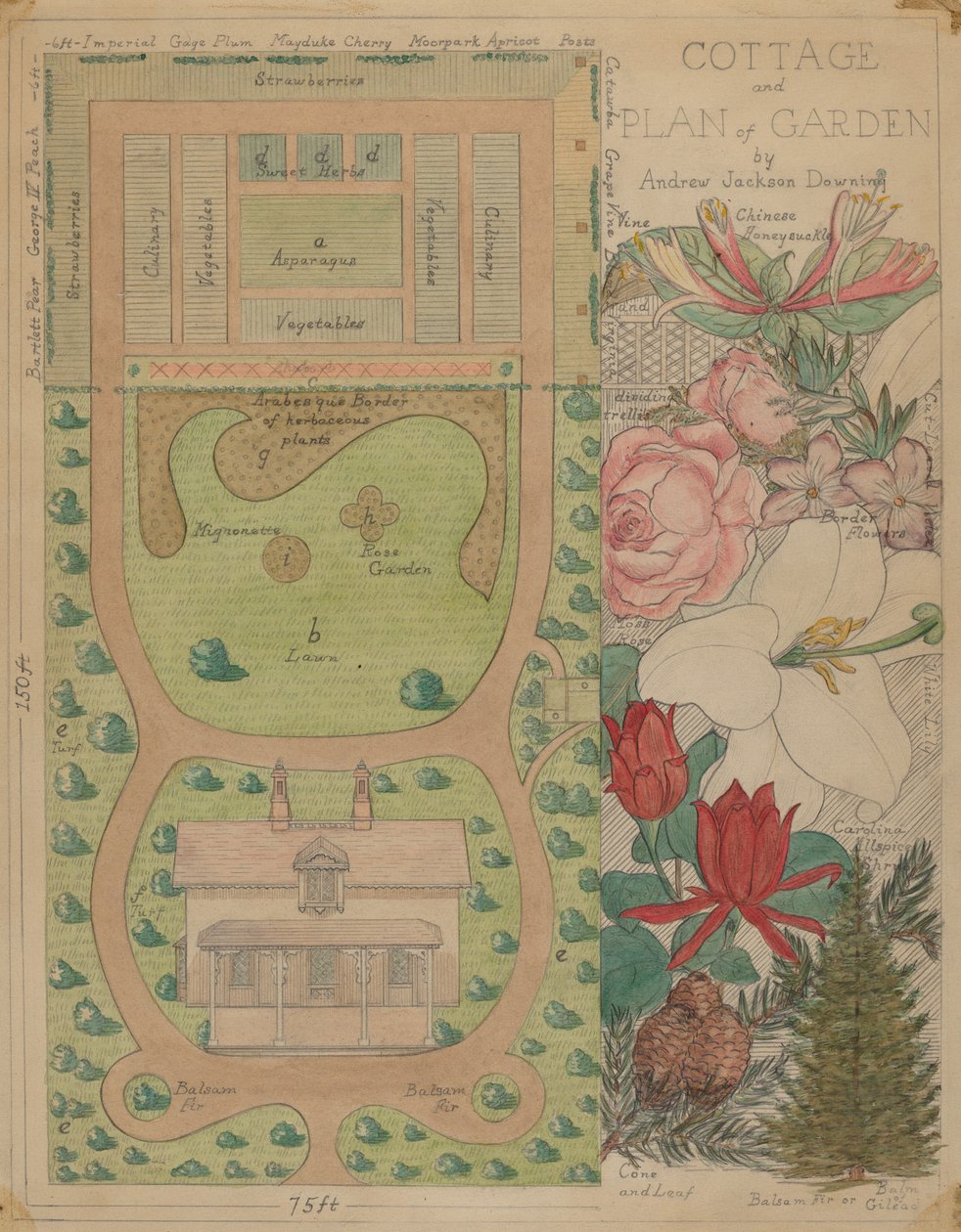 平房的平面图，约1936年。 作者 弗吉尼亚理查兹