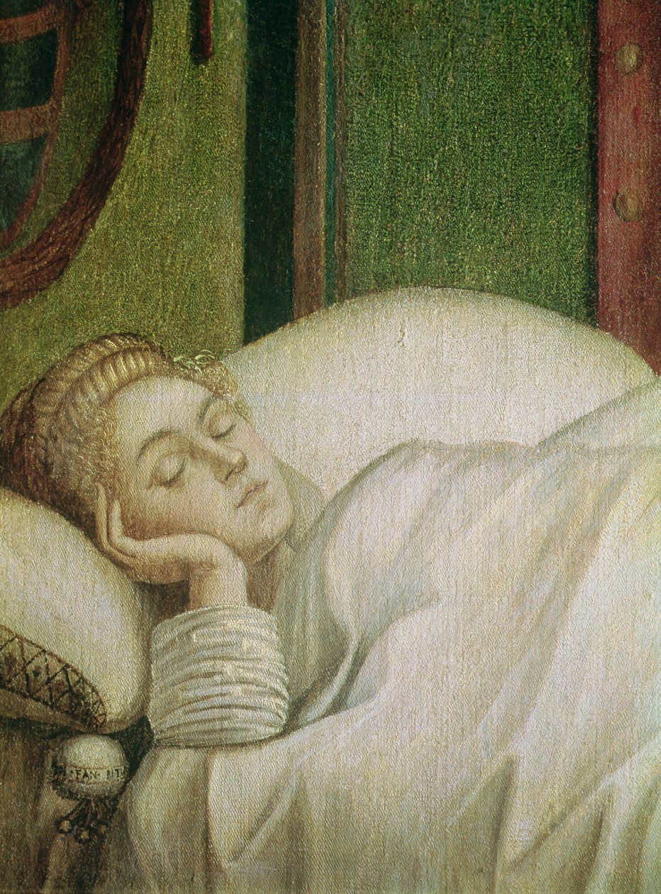 Dream of St. Ursula，1495（画布上的蛋彩画）（整张图片见686） 作者 维托雷·卡尔帕乔