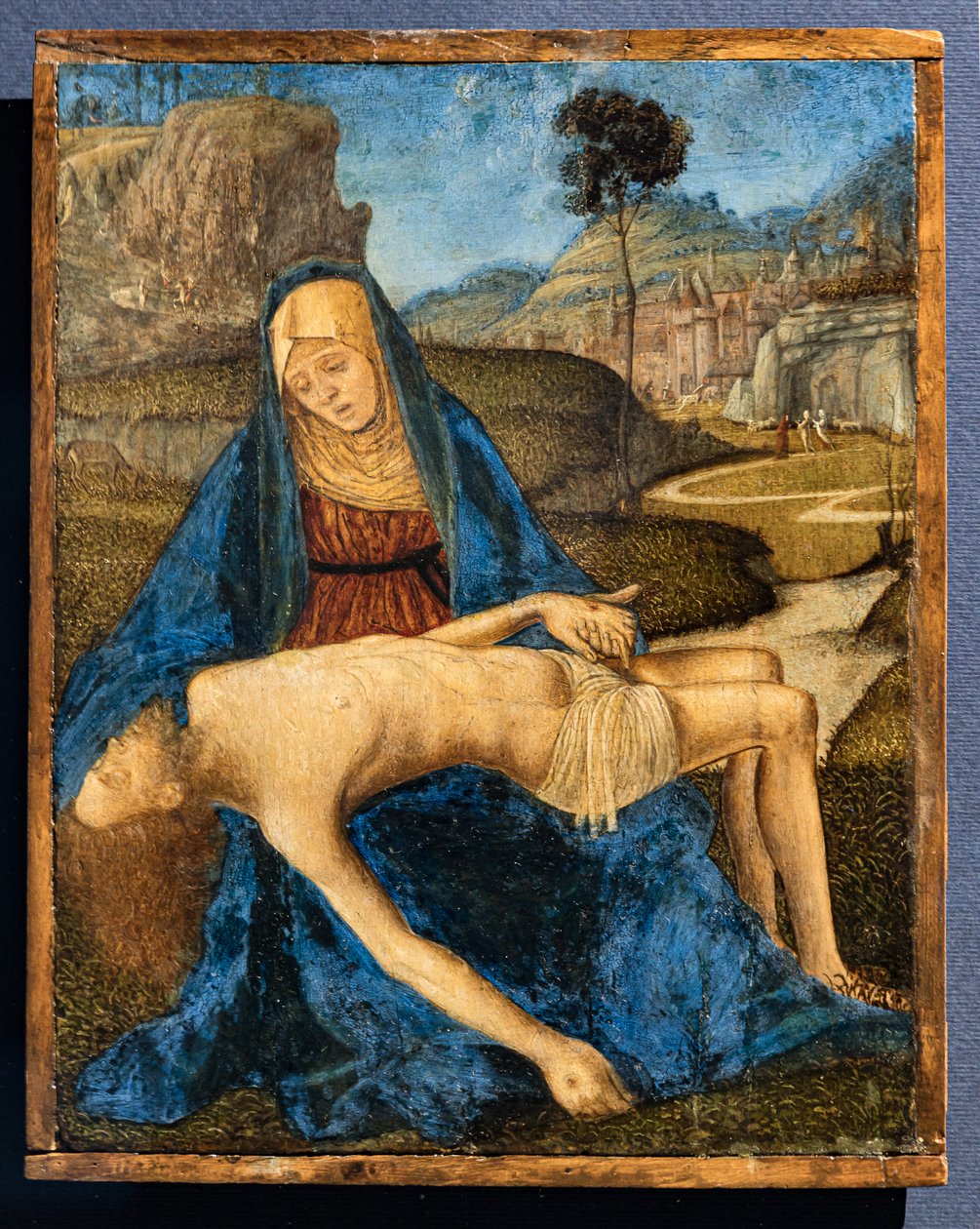 维托尔·卡帕乔 (Vittore Carpaccio) 的《哀歌》，c.1485 作者 维托雷·卡尔帕乔