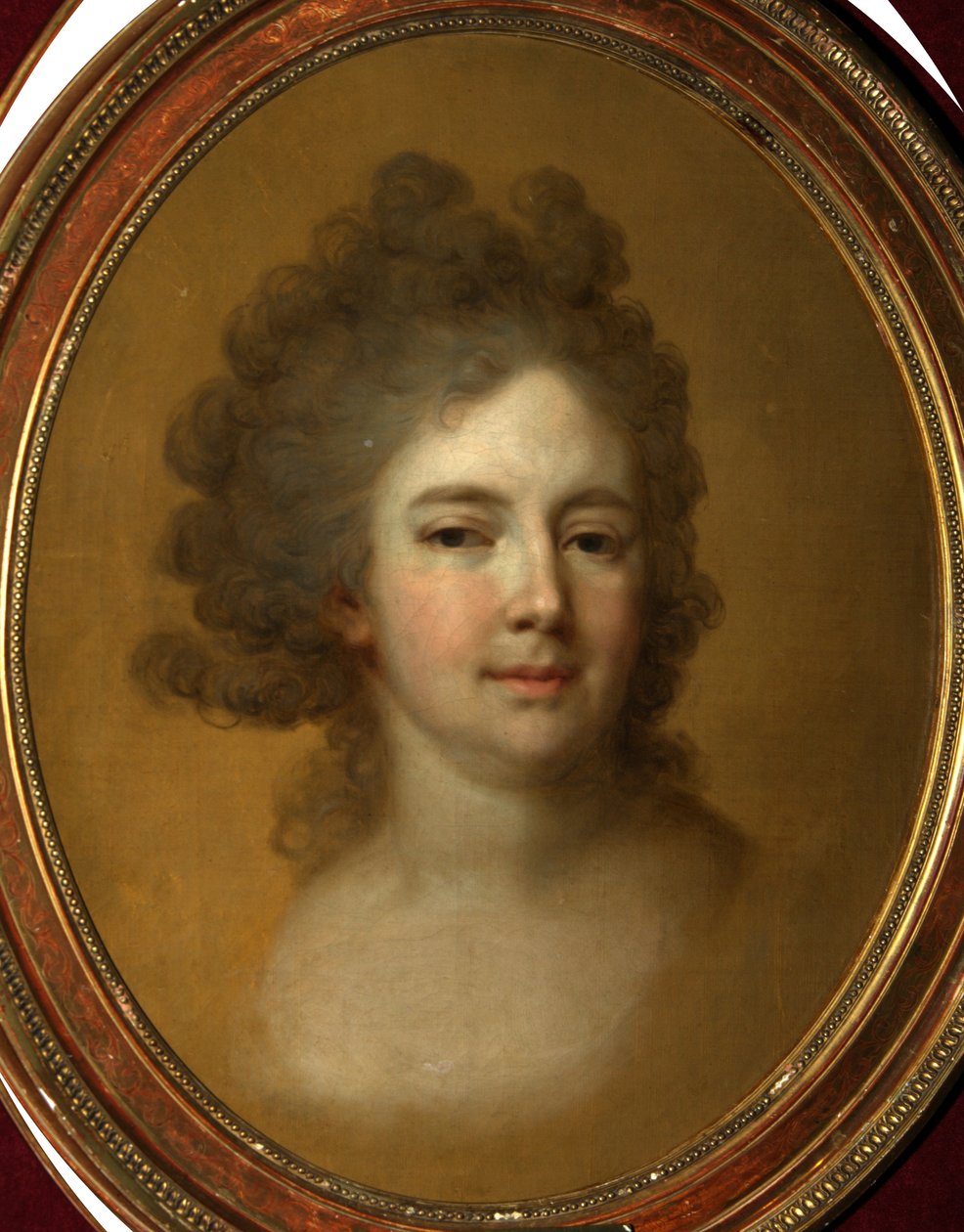 符腾堡玛丽亚·费奥多罗夫娜·索菲·多萝西娅女皇的肖像1759-1828，1796年 作者 弗拉基米尔·卢基希·波罗维科夫斯基