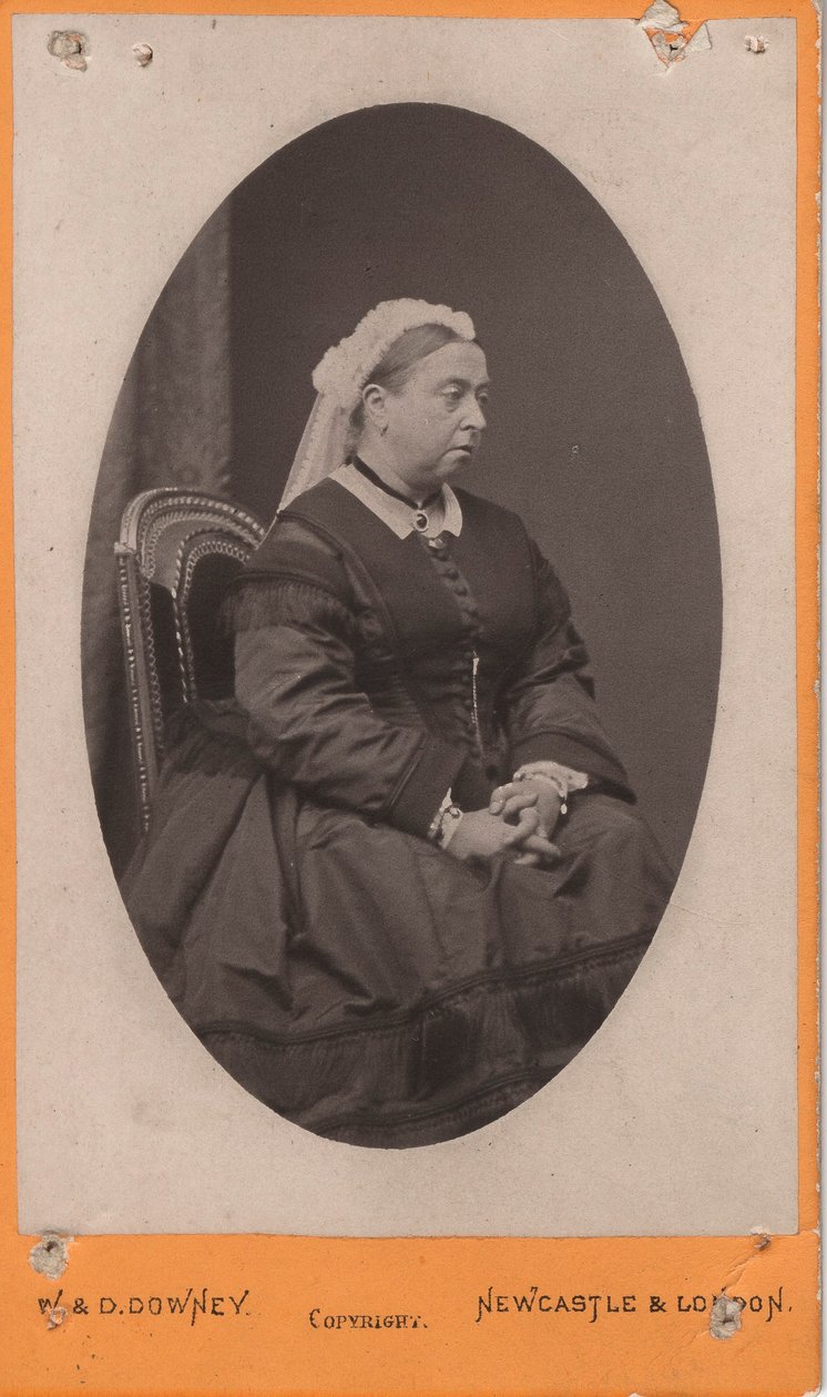 维多利亚女王，1875年 作者 威廉和丹尼尔唐尼