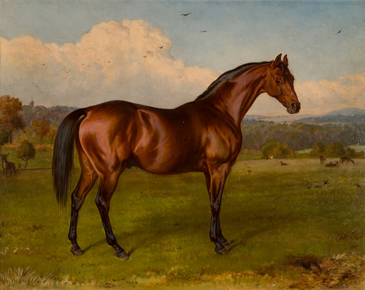 静修 - 唐卡斯特杯冠军，c.1870-92（布面油画） 作者 霍普金斯大学