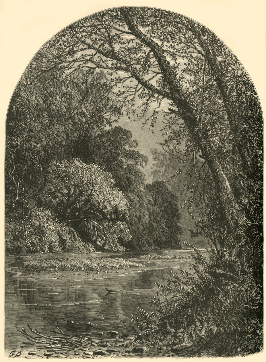 苔藓群岛，在朱尼亚塔"，1874年。 作者 WH莫尔斯