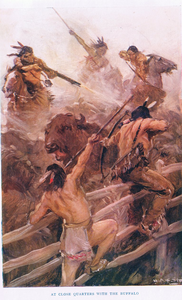 与水牛近距离接触》，插图，选自《加拿大的浪漫》（彩色石版画） 作者 WRS斯托特
