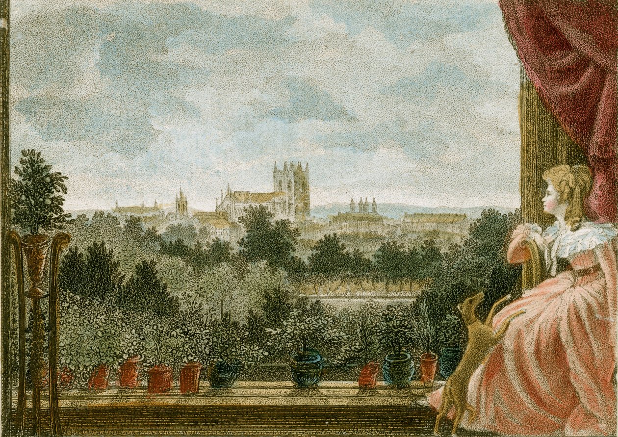 1789年，伦敦Pall Mall 80-82号Schomberg House的Cosway夫人早餐室的景色 作者 白桦