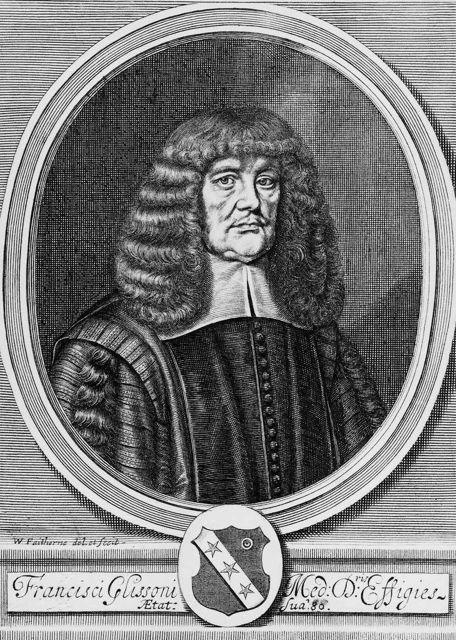 弗朗西斯-格利森（1597-1677）的肖像，英国物理学家、解剖学家和医生，雕版画 作者 WG（后）塞耶