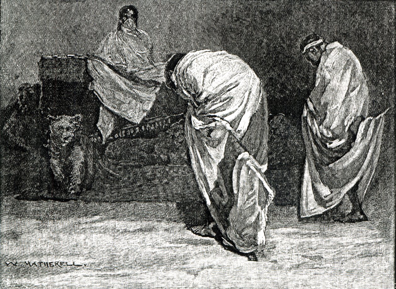 1866年，西奥多皇帝从“卡塞尔的英国插图史”中赐予观众 作者 赫瑟尔