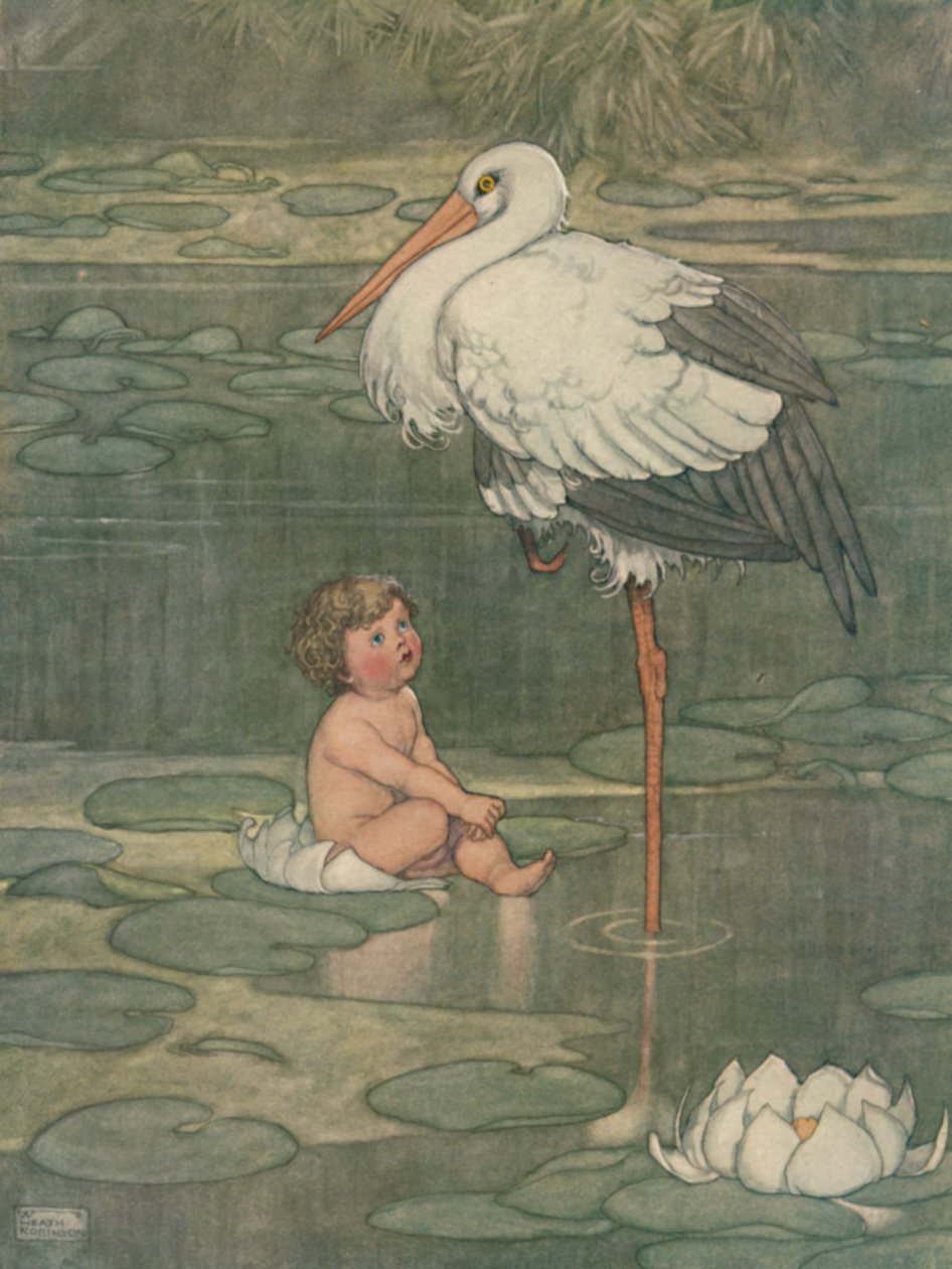 芽开成一朵盛开的花朵，c1930 作者 威廉·希思·罗宾逊