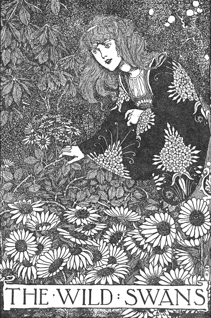野天鹅，1930年 作者 威廉·希思·罗宾逊